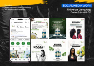 Digiroket work portfolio - Best SMM Company