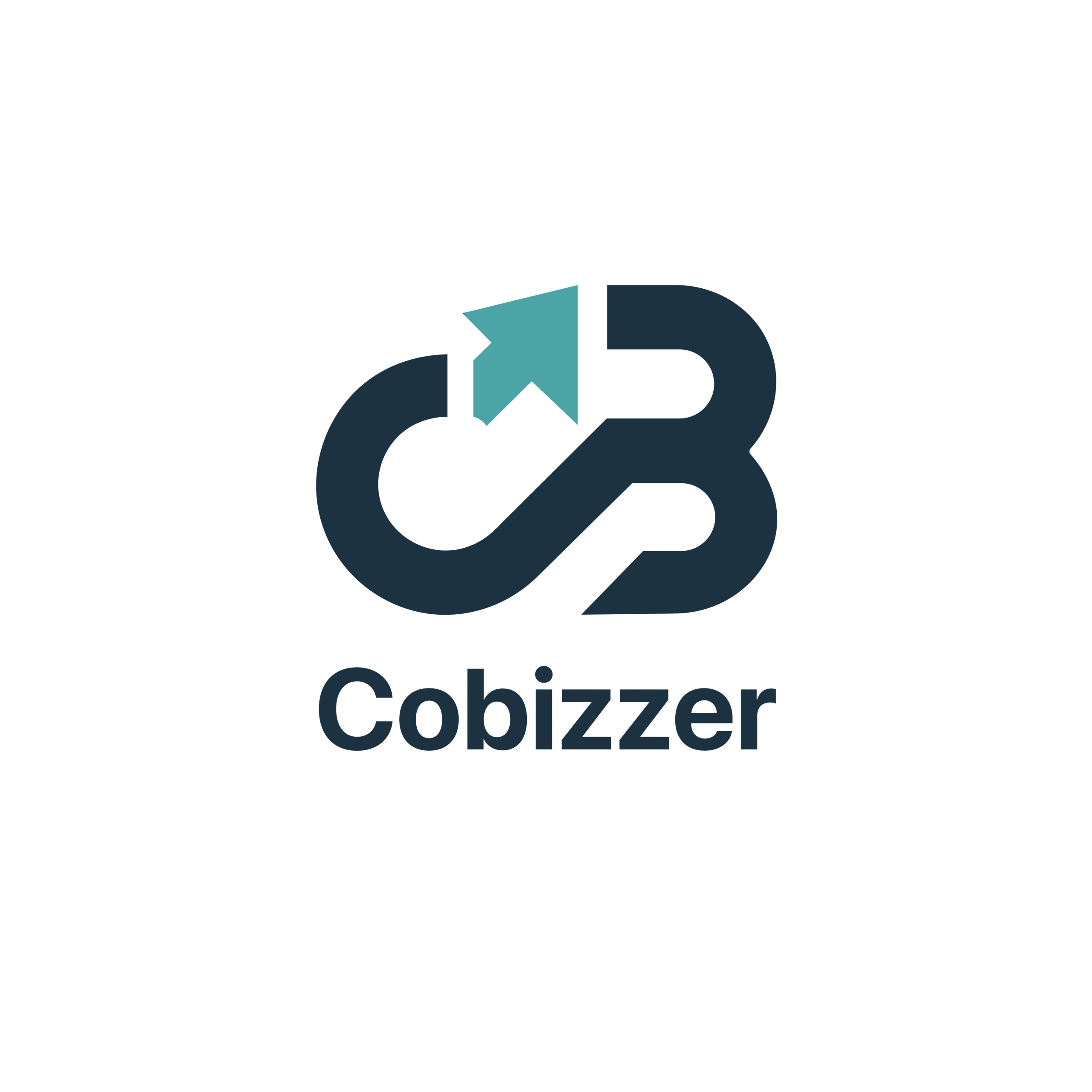 new logo cobizzer
